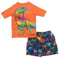 DX306: Kids Dinosaurs 2 Piece Swim Set (2-10 Years)